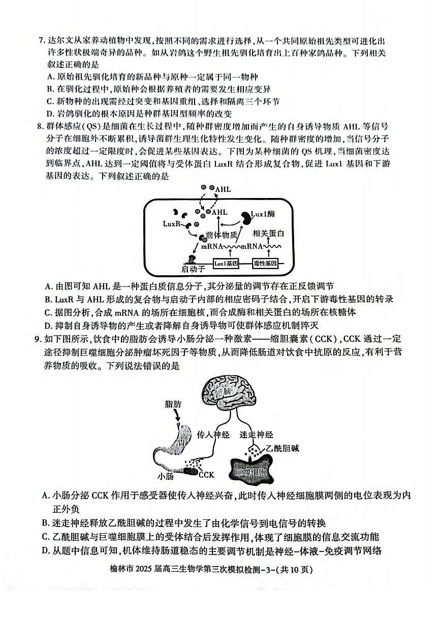 生物丨陕西省榆林市2025届高三下学期3月第三次模拟检测（榆林三模）生物试卷及答案第3页