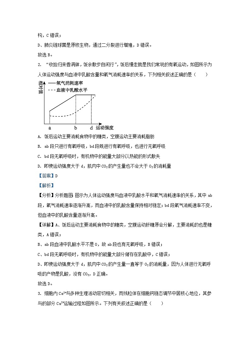 湖北树施州2023_2024学年高二生物上学期期末试题含解析第2页