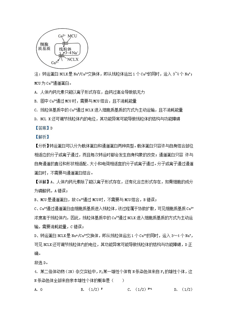 湖北树施州2023_2024学年高二生物上学期期末试题含解析第3页