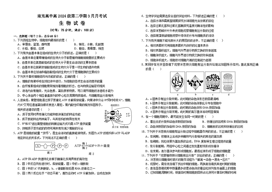 高2024级3月月考生物试卷终(1)第1页
