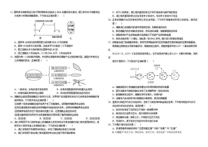 高2024级3月月考生物试卷终(1)第2页