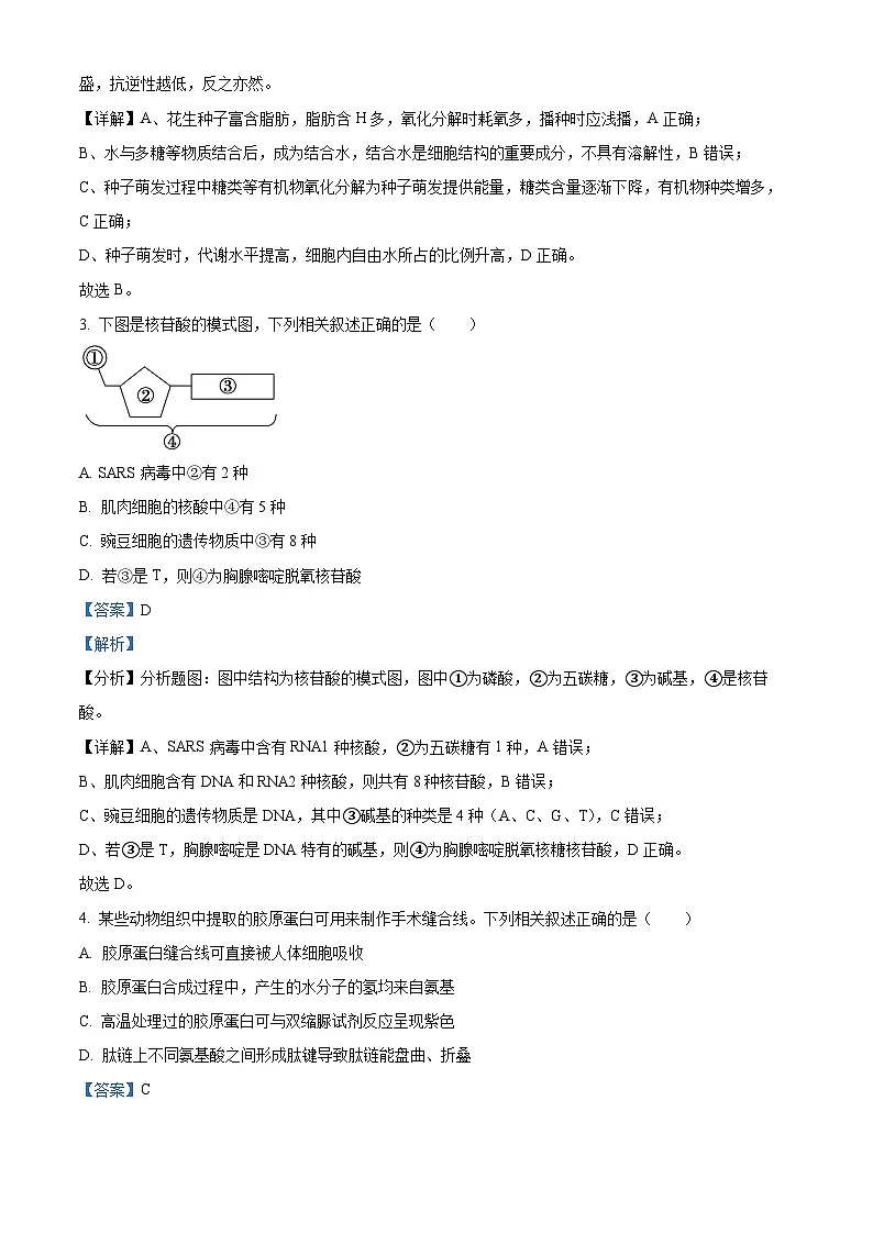 福建省漳州市2024-2025学年高一上学期期末考试生物试题 含解析第2页