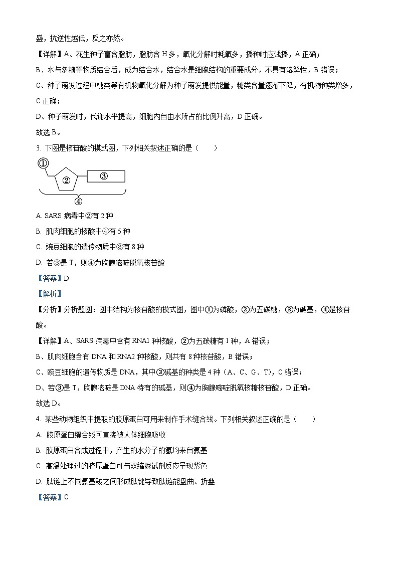 福建省漳州市2024-2025学年高一上学期期末考试生物试题 含解析第2页