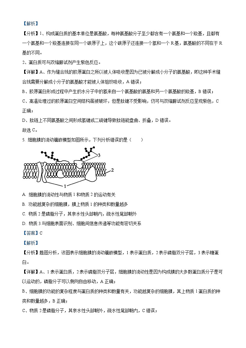 福建省漳州市2024-2025学年高一上学期期末考试生物试题 含解析第3页