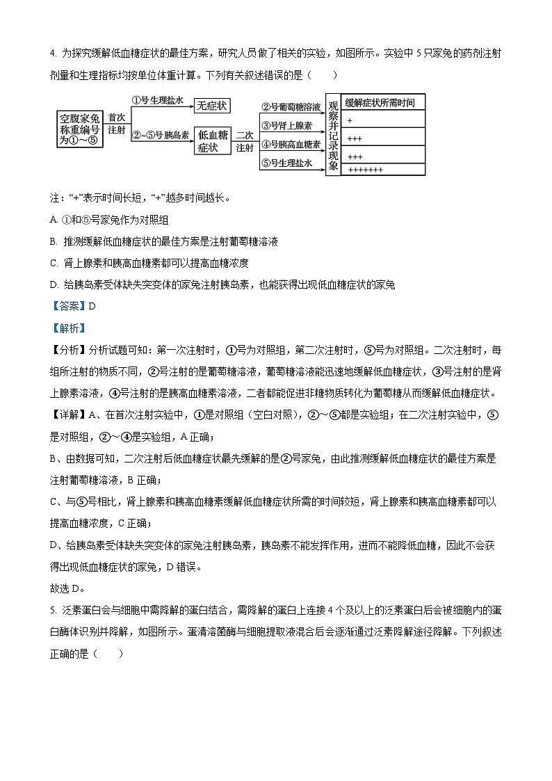 河北省邢台市2024-2025学年高三上学期期末考试生物试题 含解析第3页