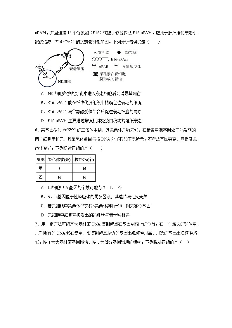 江苏省盐城市五校联盟2025届高三下学期3月月考试题 生物 含答案第2页