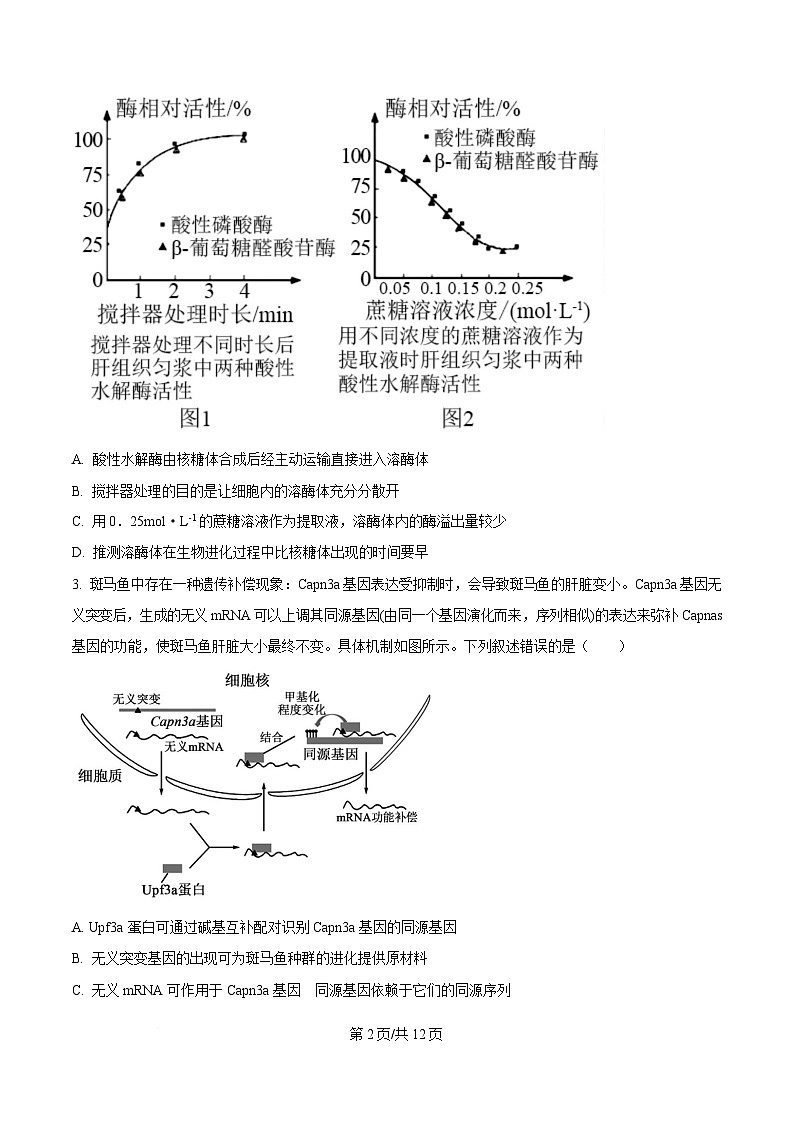 重庆市四川外国语大学附属外国语学校2024-2025学年高三下学期第12次考试生物试题（原卷版）第2页