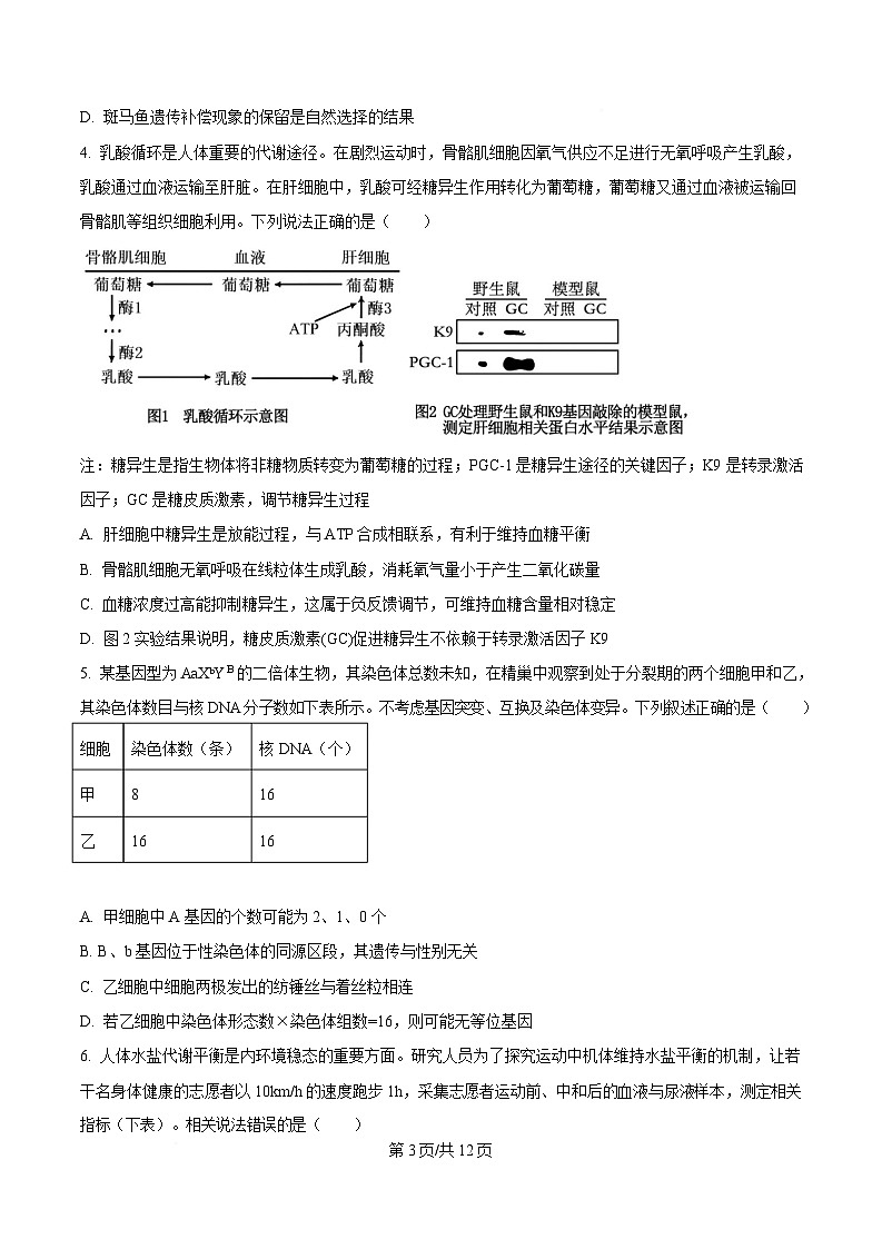 重庆市四川外国语大学附属外国语学校2024-2025学年高三下学期第12次考试生物试题（原卷版）第3页