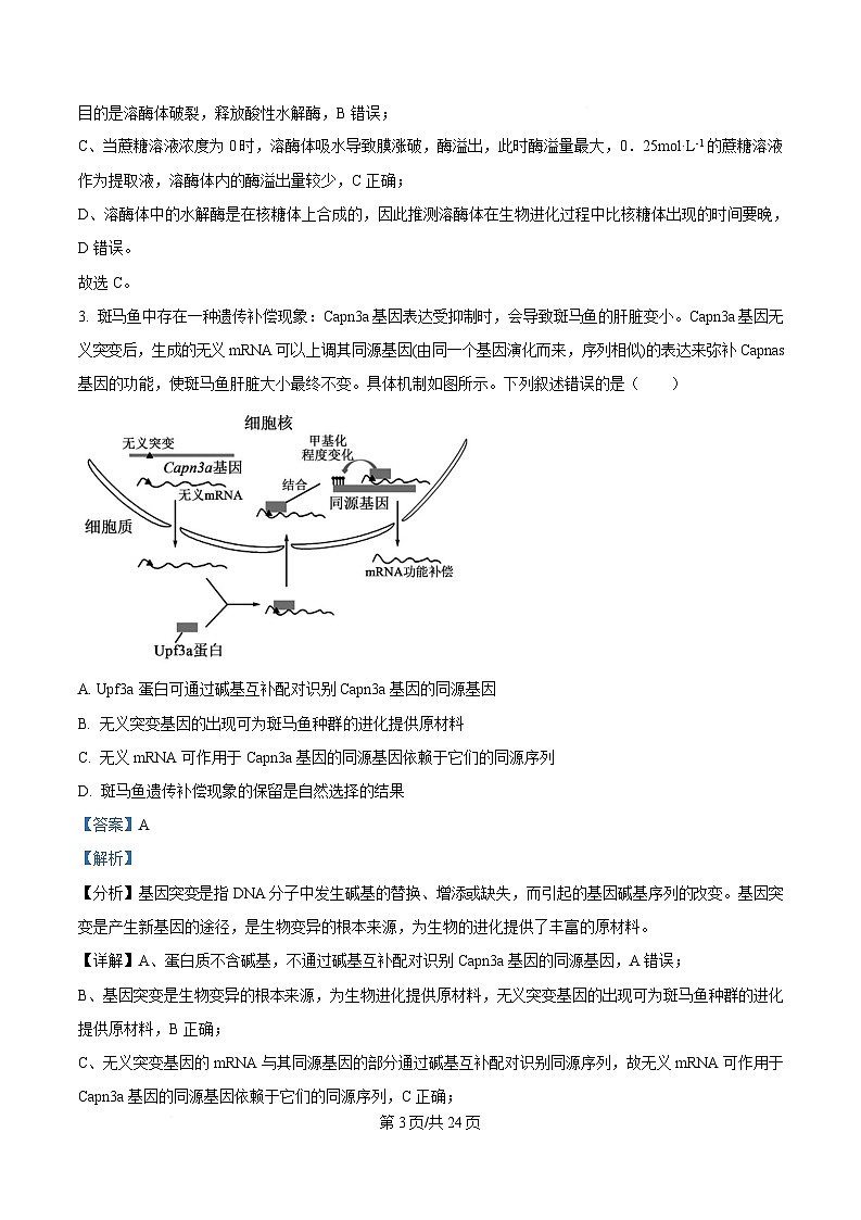 重庆市四川外国语大学附属外国语学校2024-2025学年高三下学期第12次考试生物试题 Word版含解析第3页