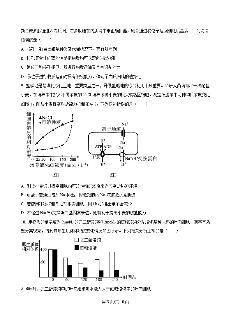 重庆市四川外国语大学附属外国语学校2024-2025学年高三上学期第2次考试生物试题（原卷版）第3页