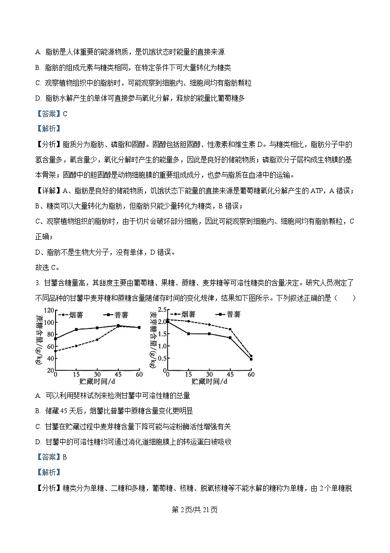 重庆市四川外国语大学附属外国语学校2024-2025学年高三上学期第2次考试生物试题 Word版含解析第2页