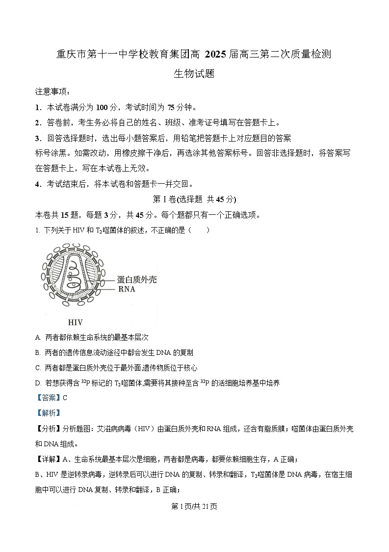 重庆市第十一中学教育集团2024-2025学年高三上学期第二次质量检测生物试题 Word版含解析第1页