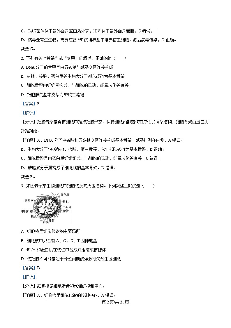重庆市第十一中学教育集团2024-2025学年高三上学期第二次质量检测生物试题 Word版含解析第2页