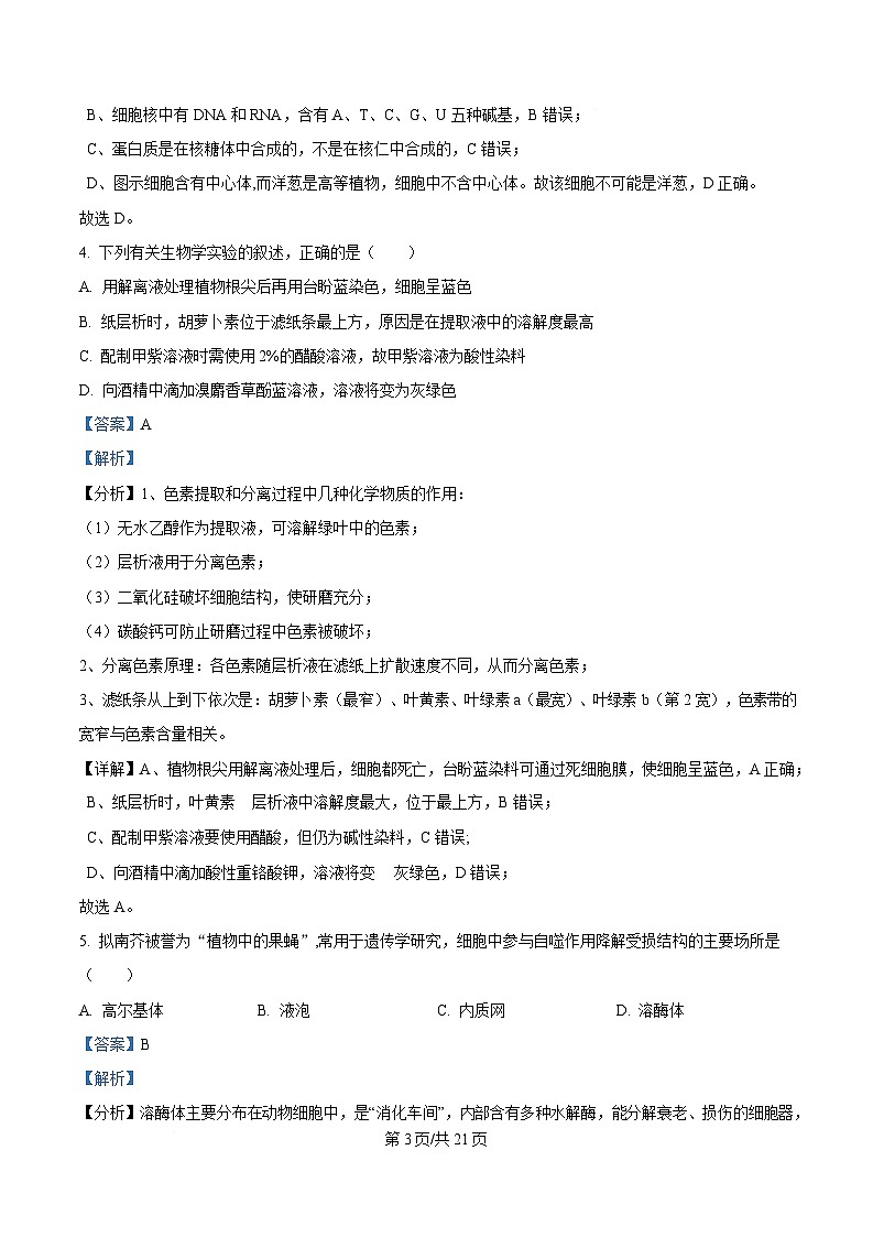 重庆市第十一中学教育集团2024-2025学年高三上学期第二次质量检测生物试题 Word版含解析第3页