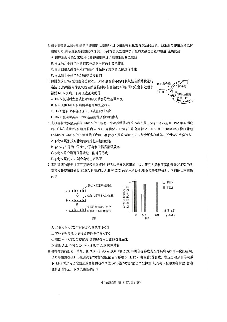 湖南省九校联盟2024-2025学年高三下学期第二次联考生物试卷 第2页