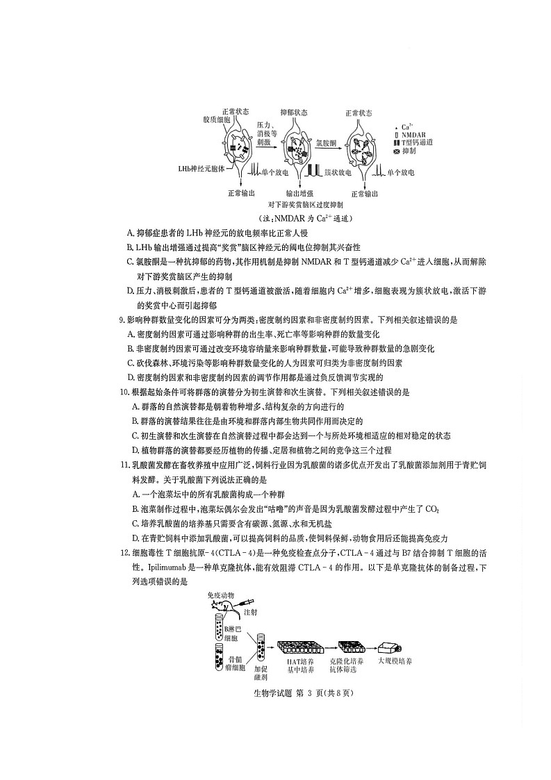 湖南省九校联盟2024-2025学年高三下学期第二次联考生物试卷 第3页