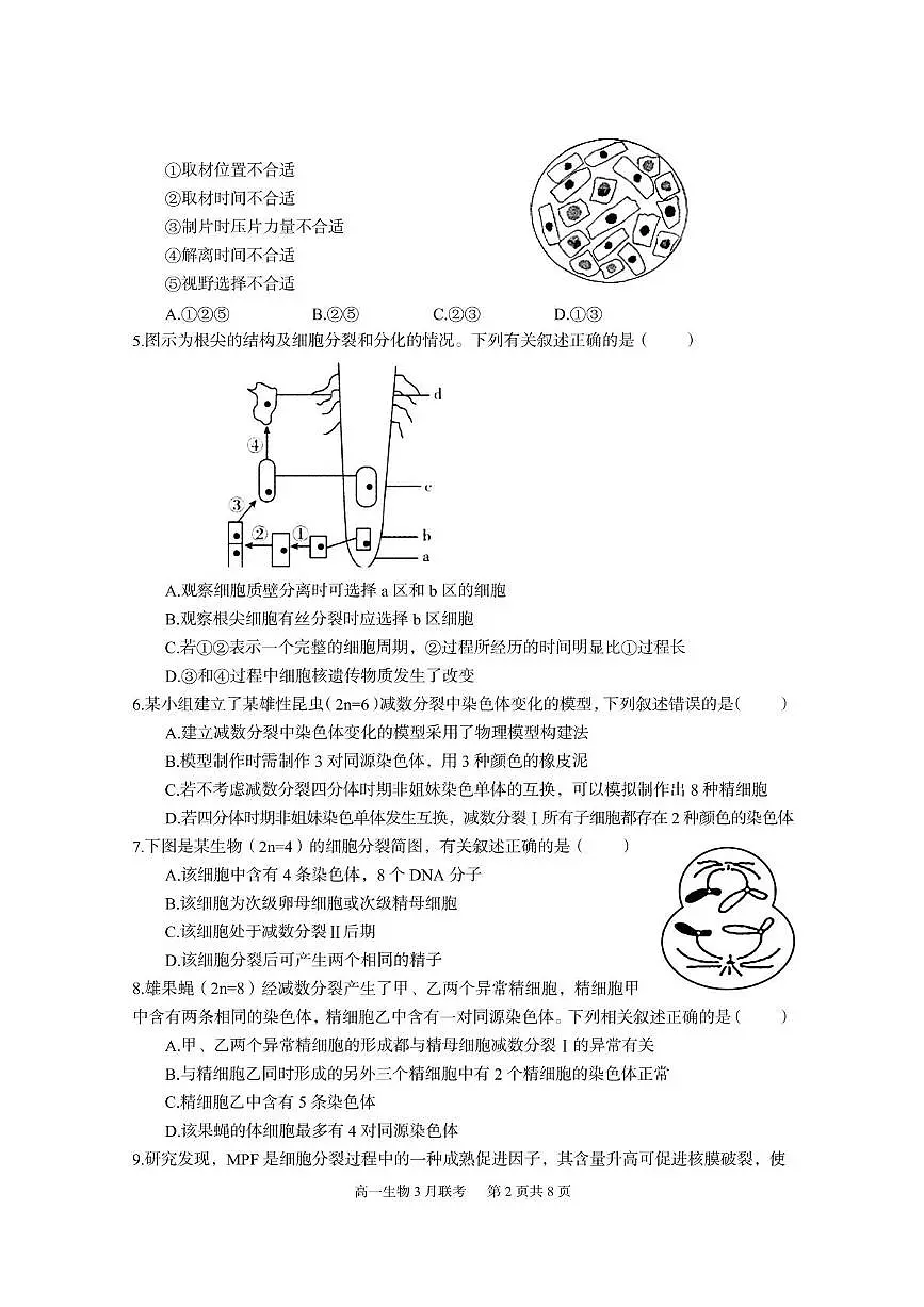 6一中高一生物第2页