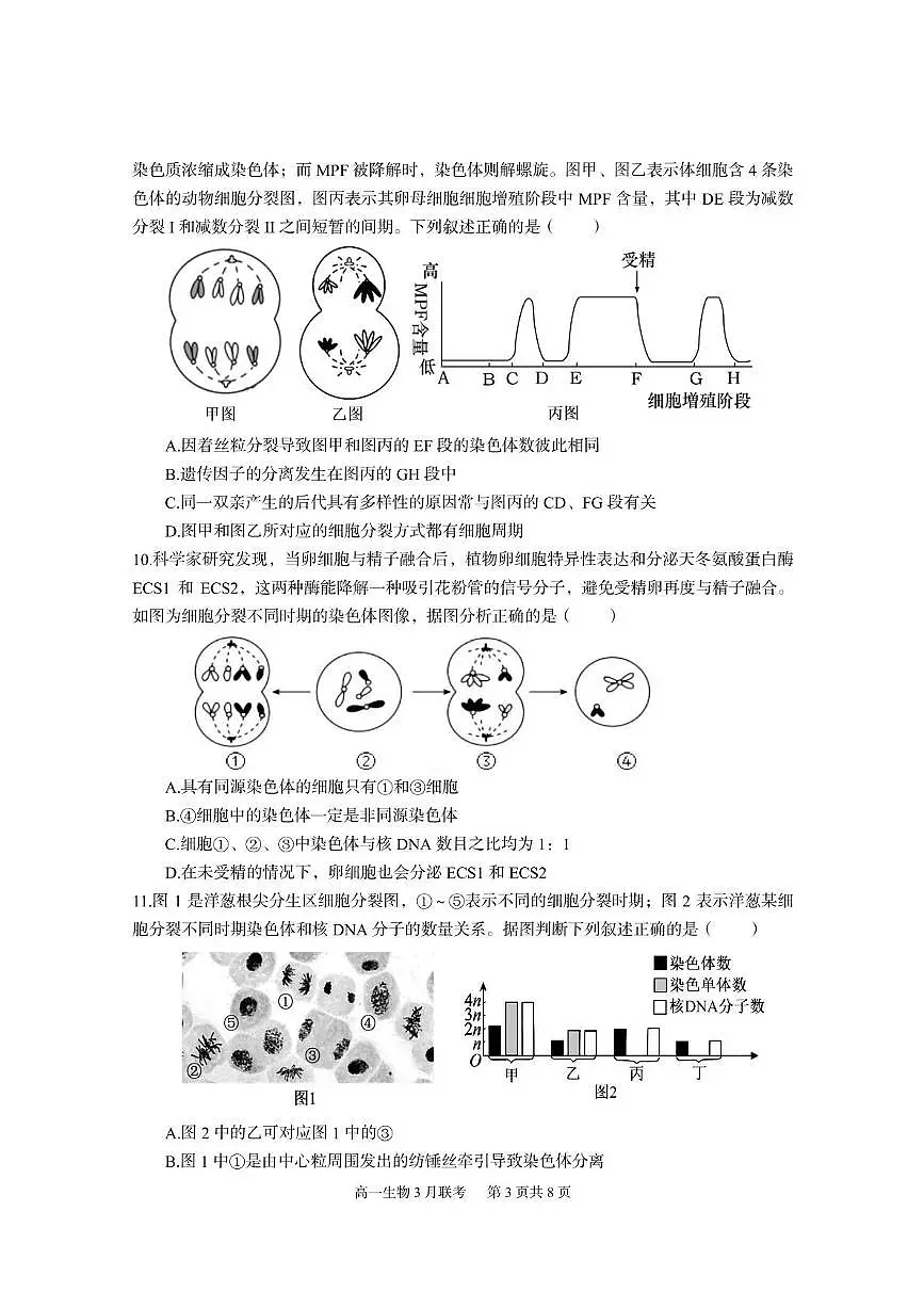 6一中高一生物第3页