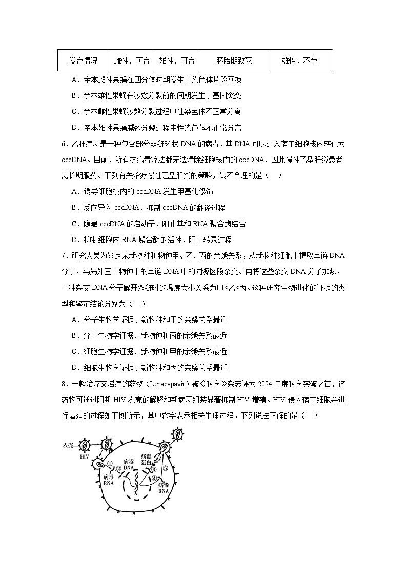 河南省名校联盟2025届高三第六次联考一模生物试题第3页