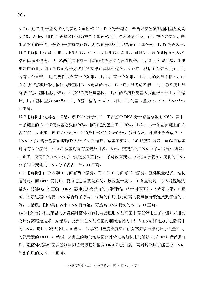 百师联盟2025届高三一轮复习联考（二）生物答案第3页