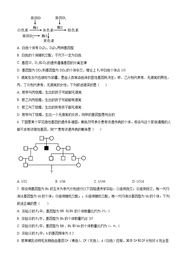 江西省南昌市东湖区南昌中学2024-2025学年高一下学期3月月考生物试题（原卷版+解析版）第2页