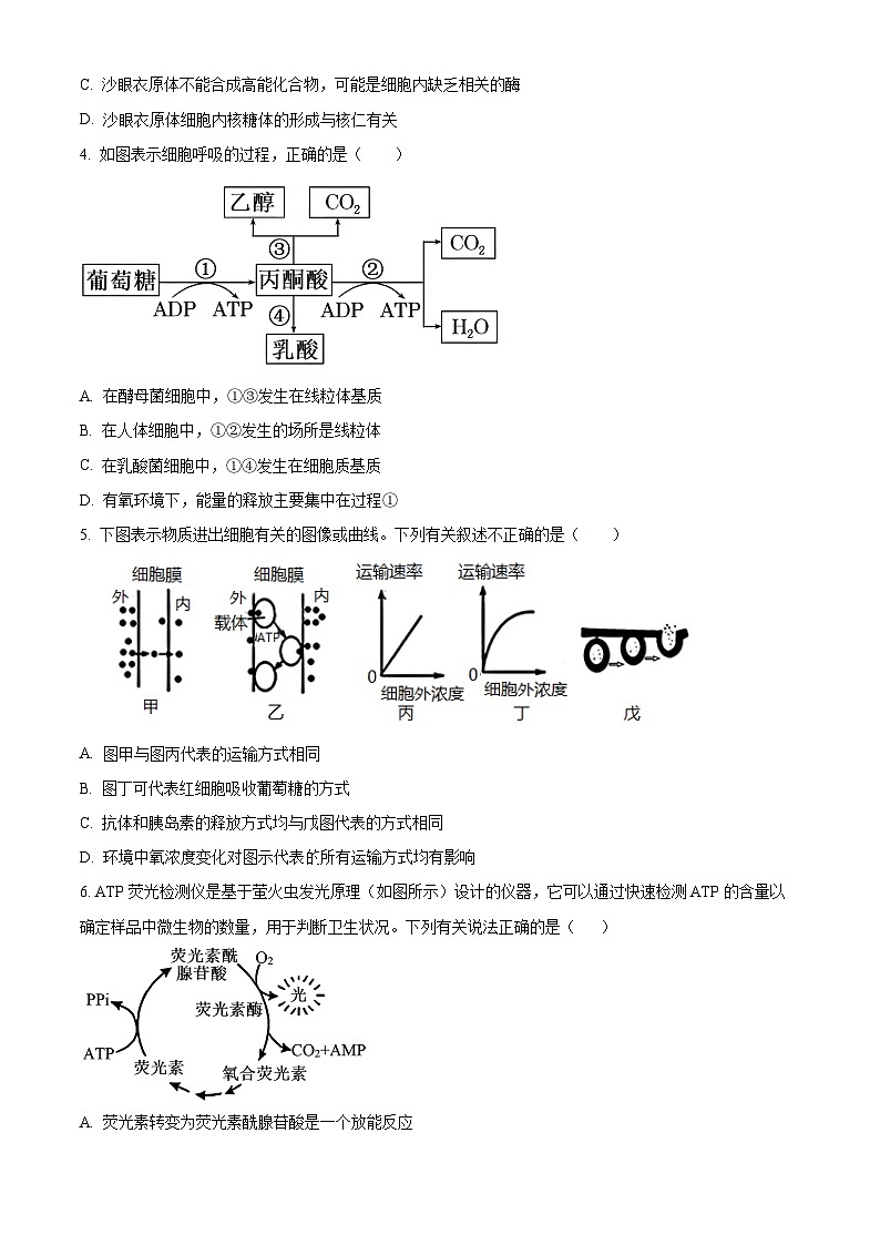 江西省上饶市信州区上饶市第一中学2024-2025学年高一下学期3月月考生物试题（原卷版+解析版）第2页