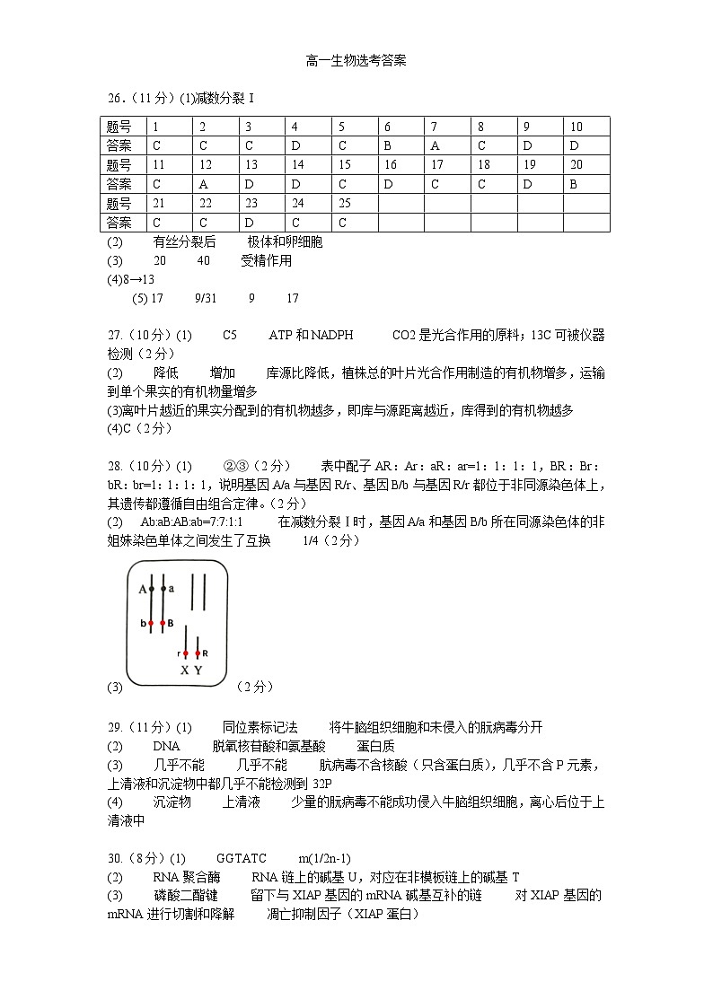 答案(1)第1页