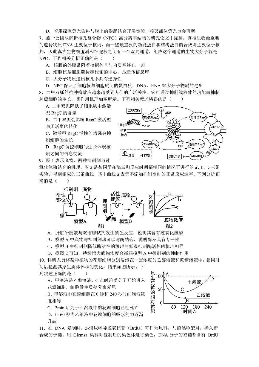 余姚中学2024学年第二学期质量检测高一生物学科试卷第2页