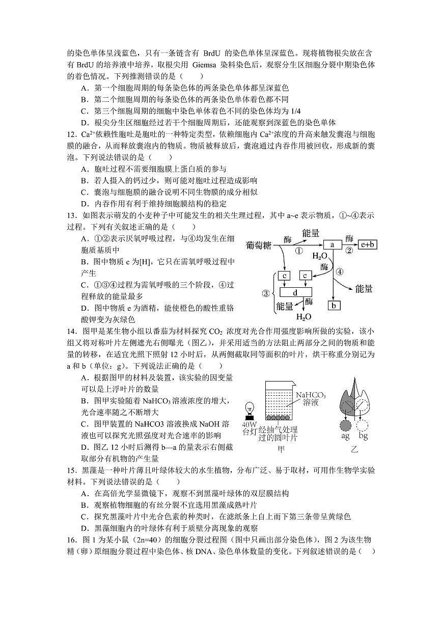 余姚中学2024学年第二学期质量检测高一生物学科试卷第3页