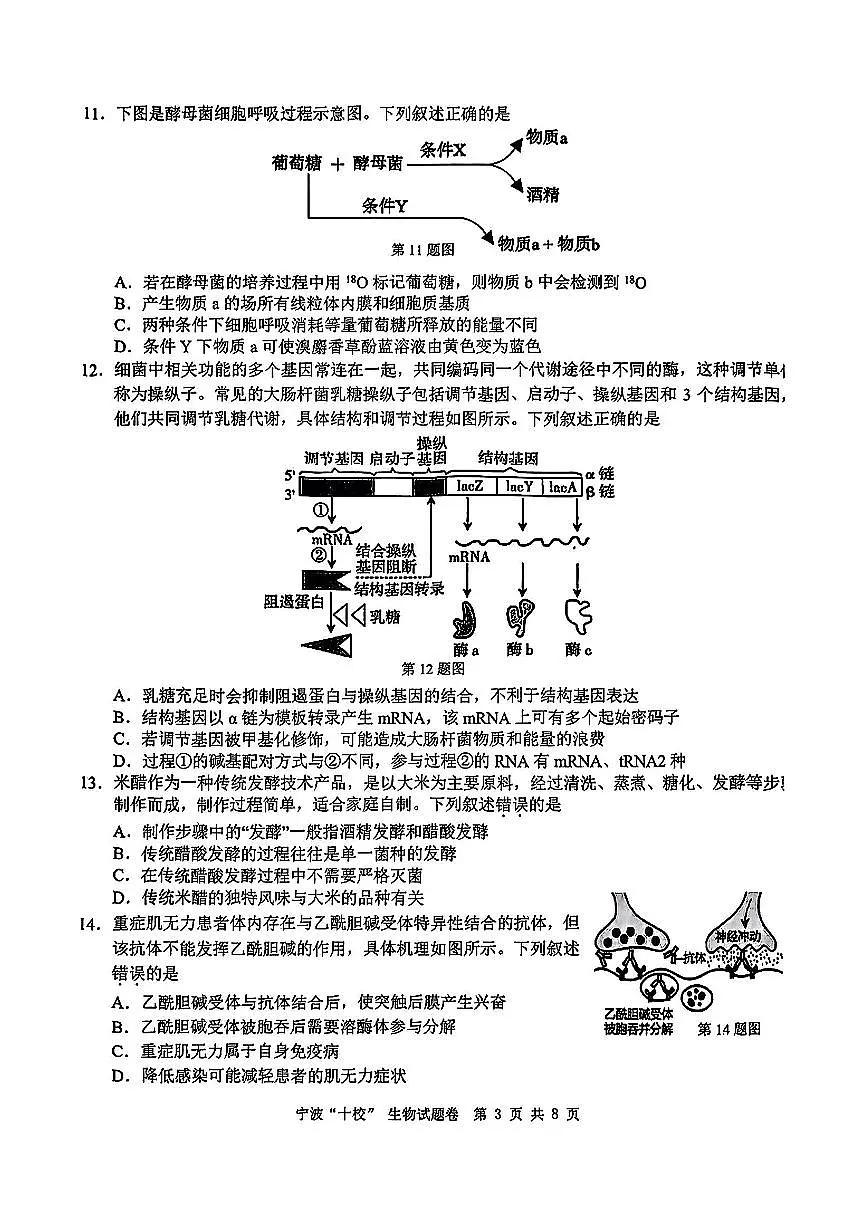 生物试卷第3页