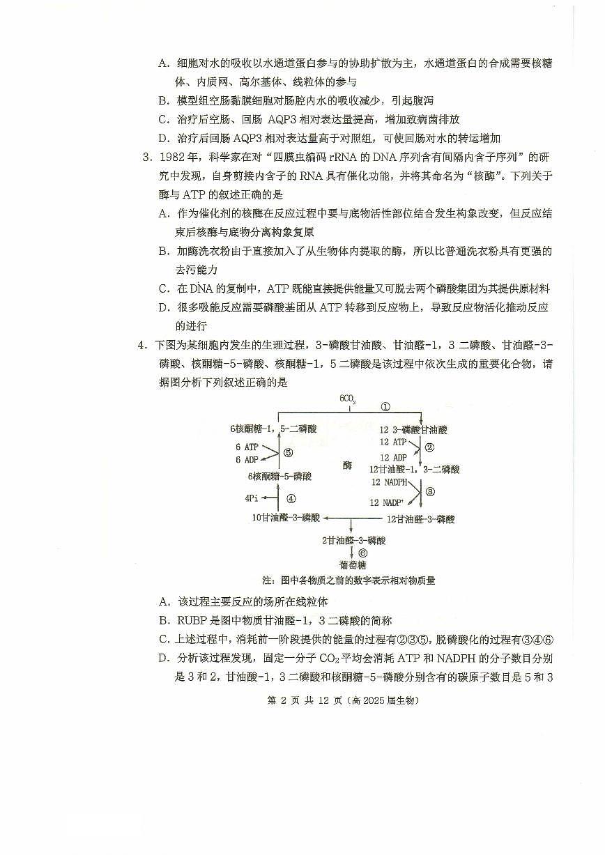 重庆市名校联盟2024-2025学年度第二期第一次联合考试生物第2页