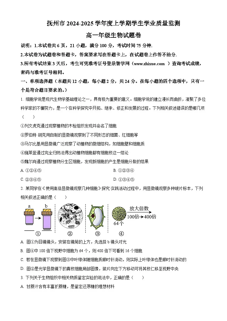 江西省抚州市2024-2025学年高一上学期期末考试生物试卷 Word版无答案第1页