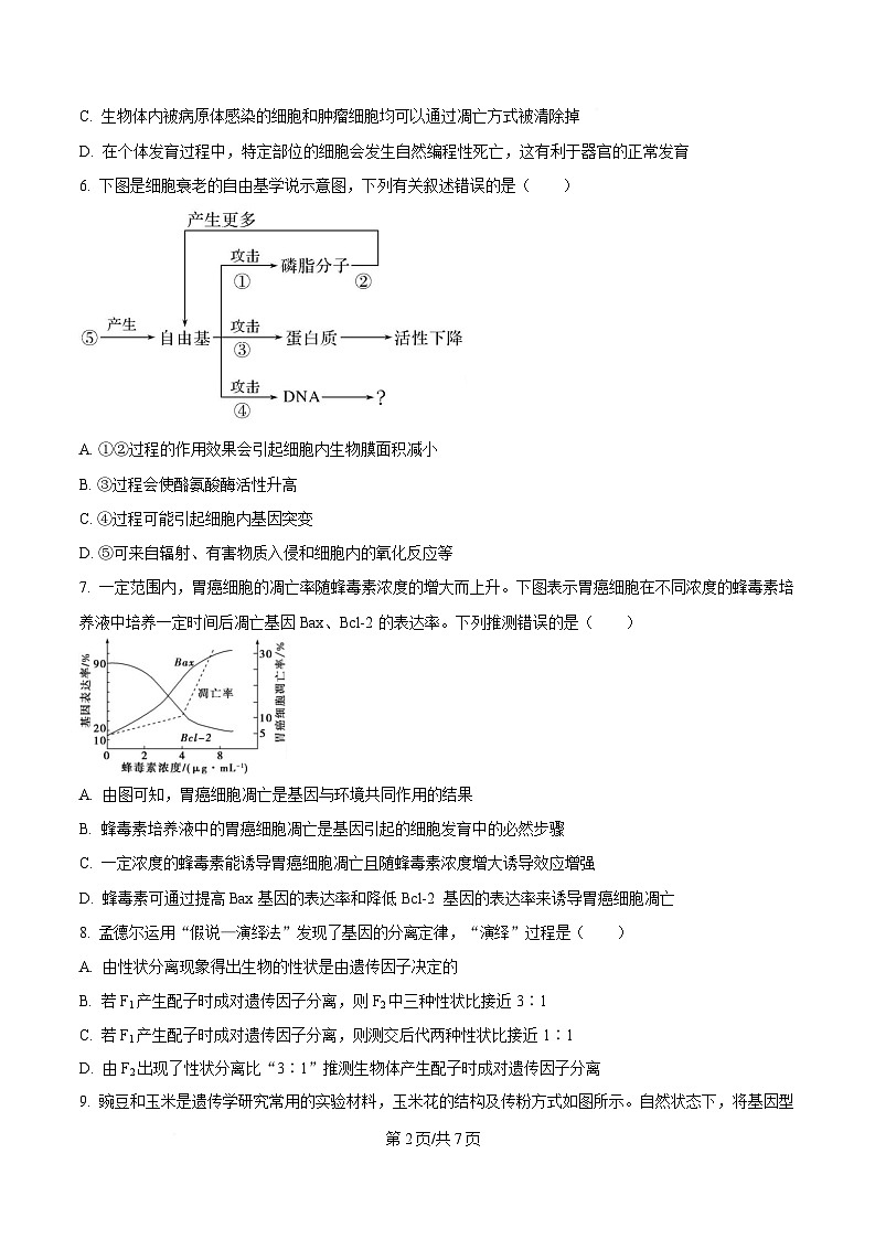 湖北省黄冈市蕲春县第一高级中学2024-2025学年高一下学期3月月考生物试题（原卷版）第2页