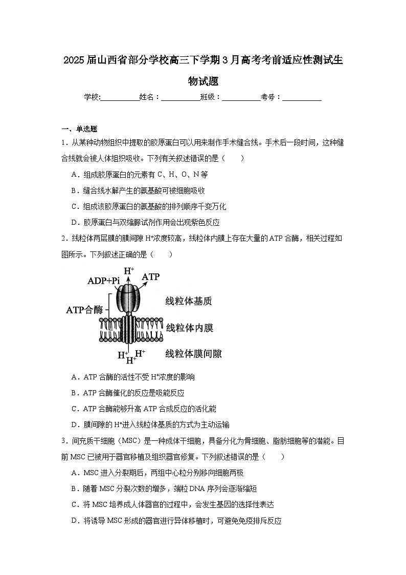2025届山西省部分学校高三下学期3月高考考前适应性测试生物试题第1页