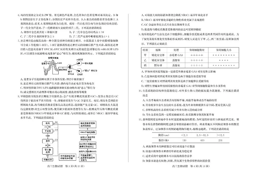 山东省枣庄市2025届高三下学期高考二模生物试题（含答案）第2页