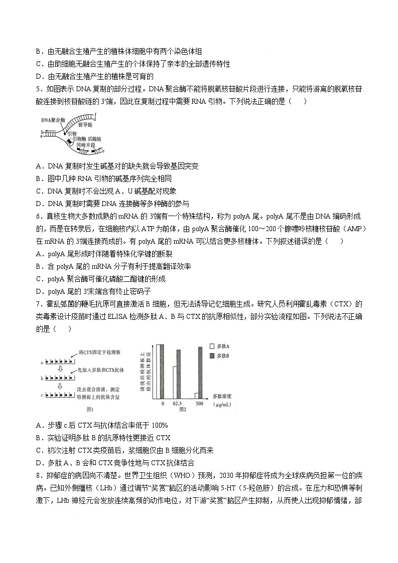 2025湖南省九校联盟高三下学期第二次联考生物试卷含解析第2页