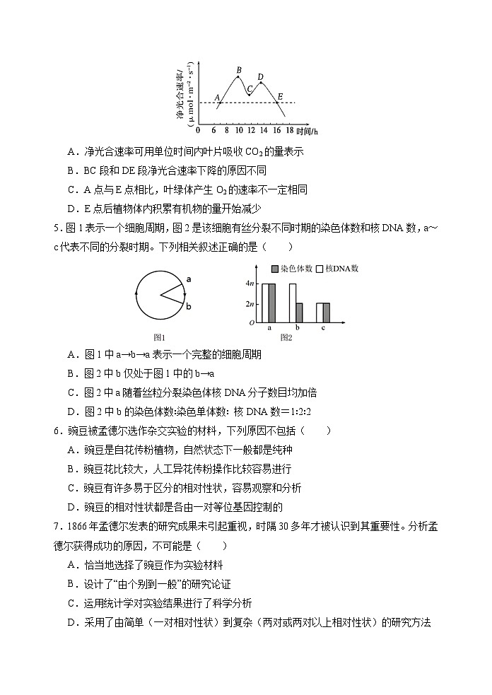 高一下学期生物第一次月考试卷 第2页