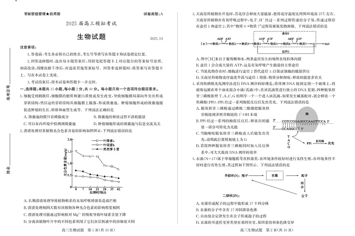 2025届枣庄高中高考模拟二调生物试卷+答案第1页