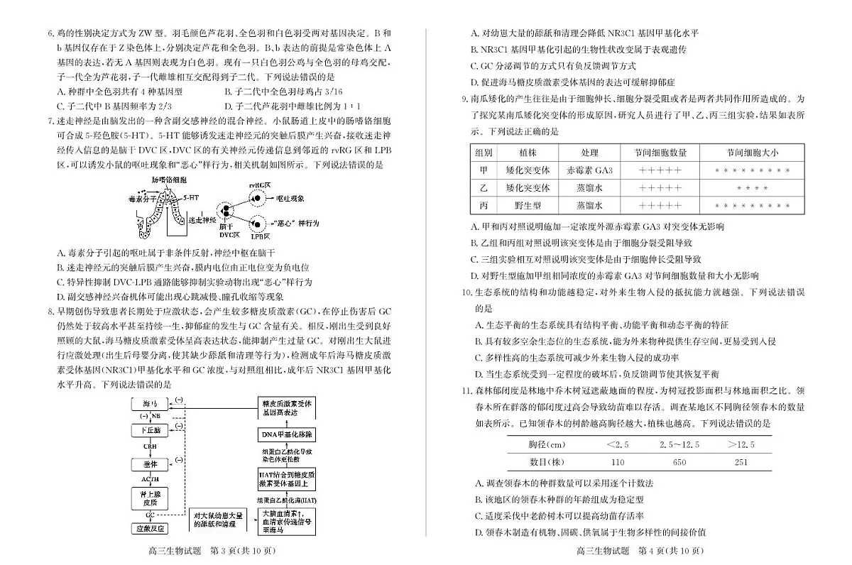 2025届枣庄高中高考模拟二调生物试卷+答案第2页