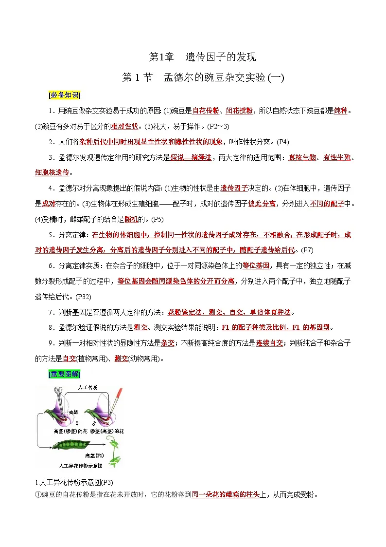 第1章 遗传因子的发现（背诵版）第1页