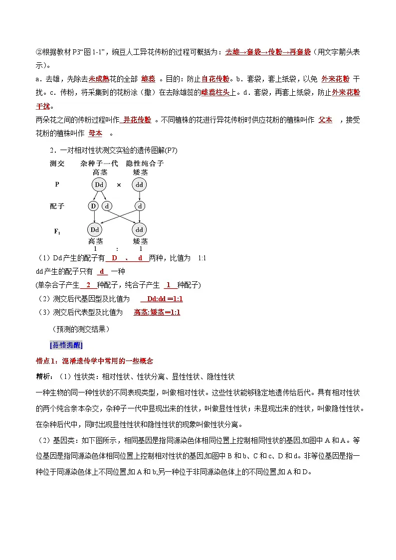 第1章 遗传因子的发现（背诵版）第2页