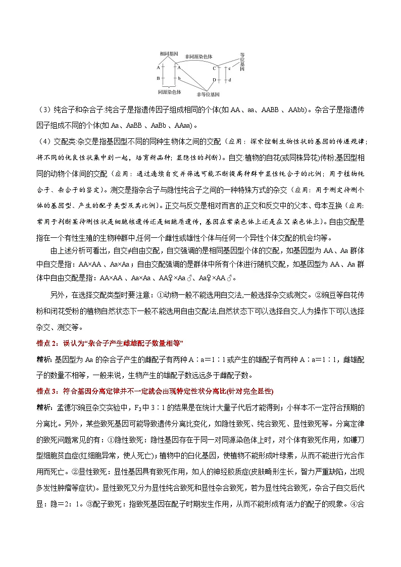 第1章 遗传因子的发现（背诵版）第3页