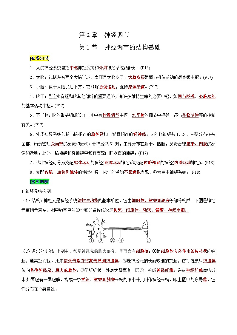 第2章 神经调节（背诵版）第1页