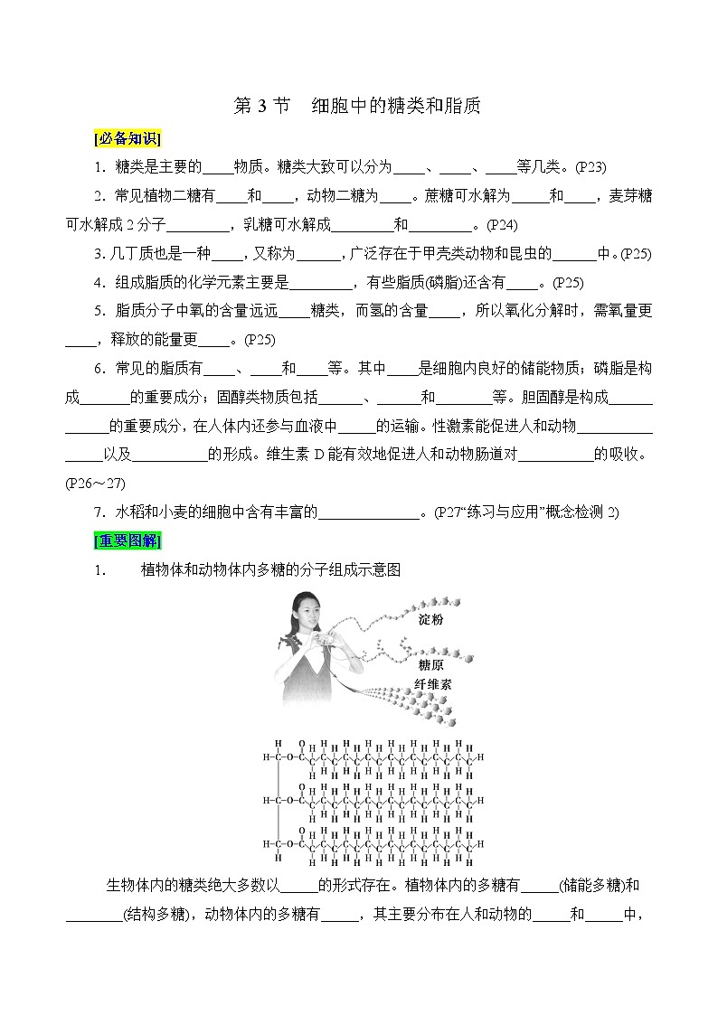第2章 组成细胞的分子（填空版）第3页