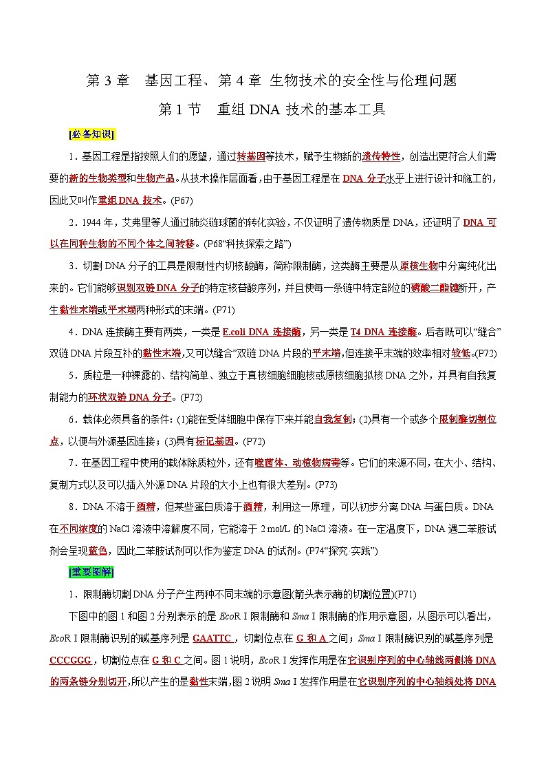 第3章 基因工程、第4章 生物技术的安全性与伦理问题（背诵版）第1页
