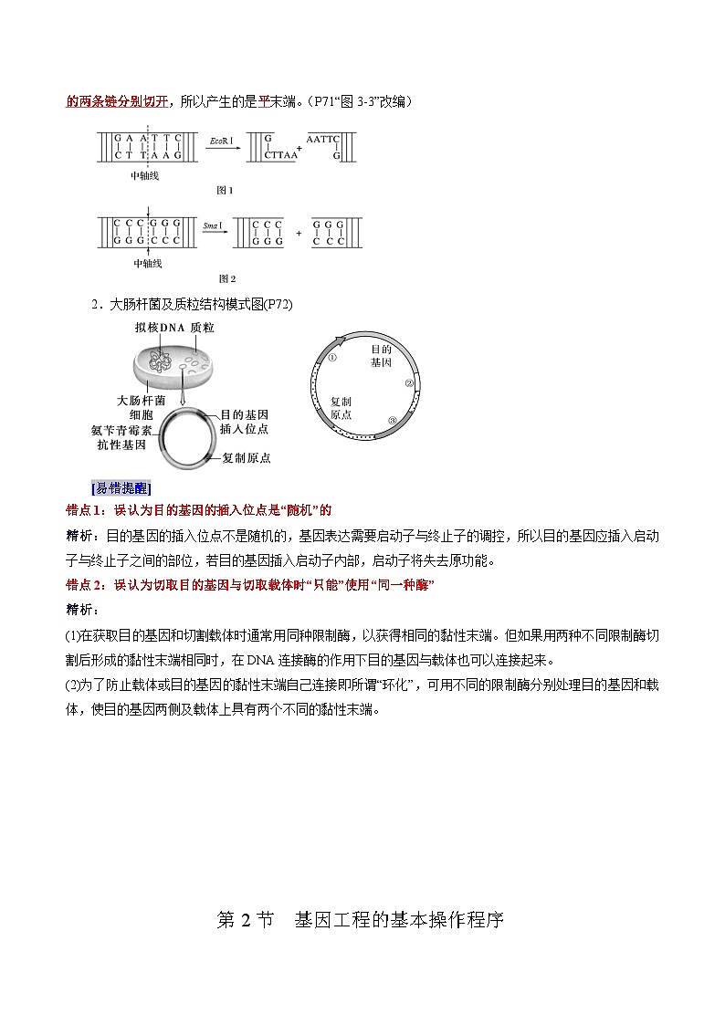 第3章 基因工程、第4章 生物技术的安全性与伦理问题（背诵版）第2页