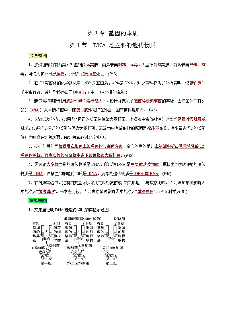 第3章 基因的本质（背诵版）第1页