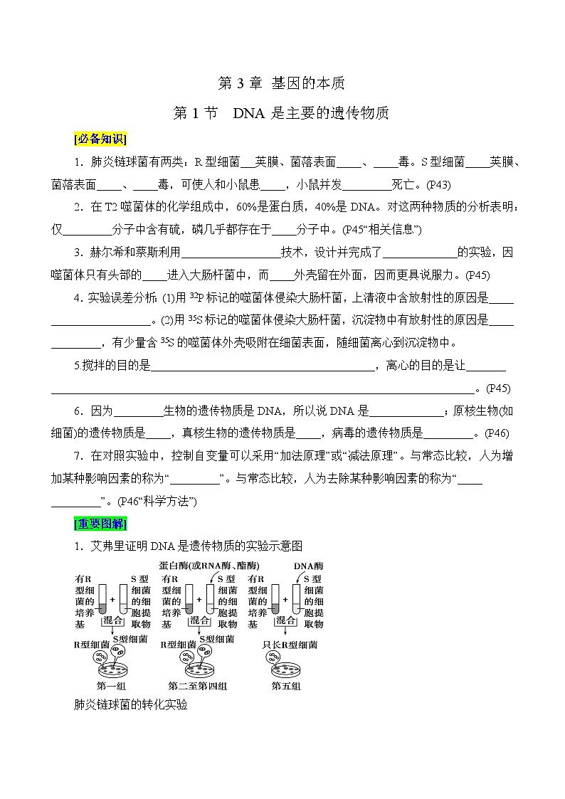 第3章 基因的本质（填空版）第1页
