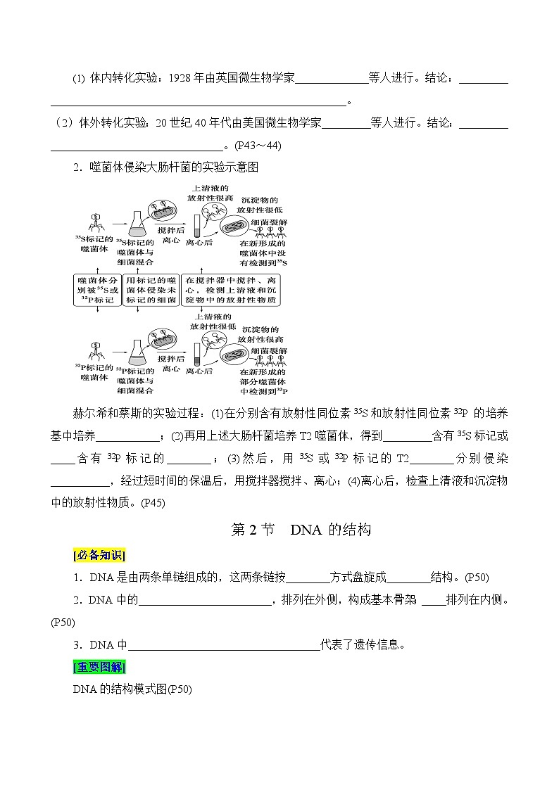 第3章 基因的本质（填空版）第2页