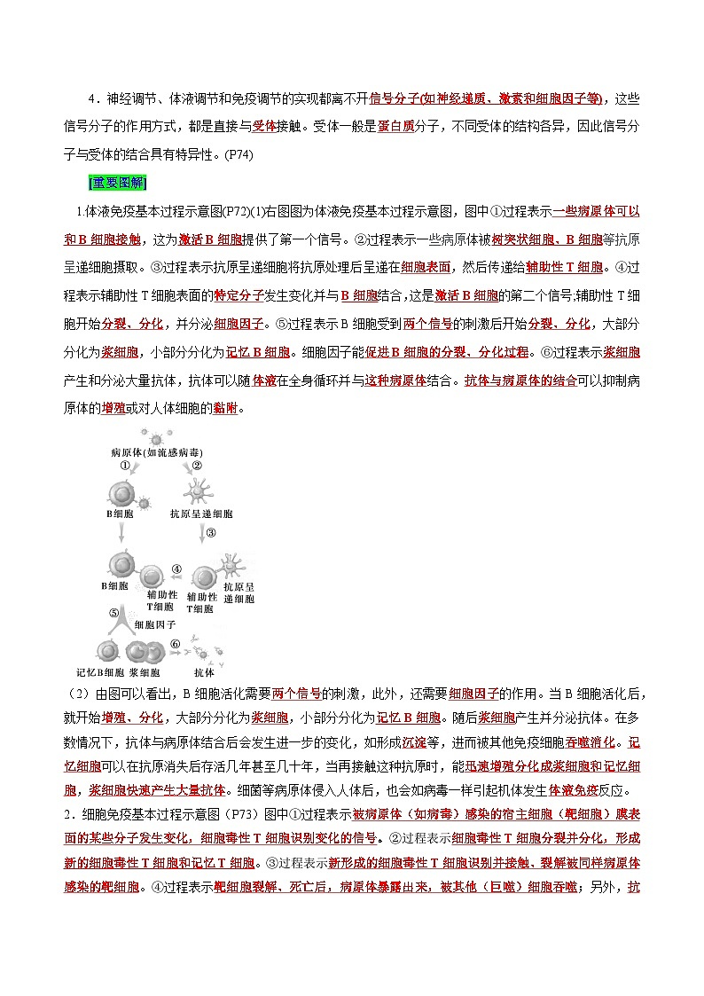 第4章 免疫调节（背诵版）第3页